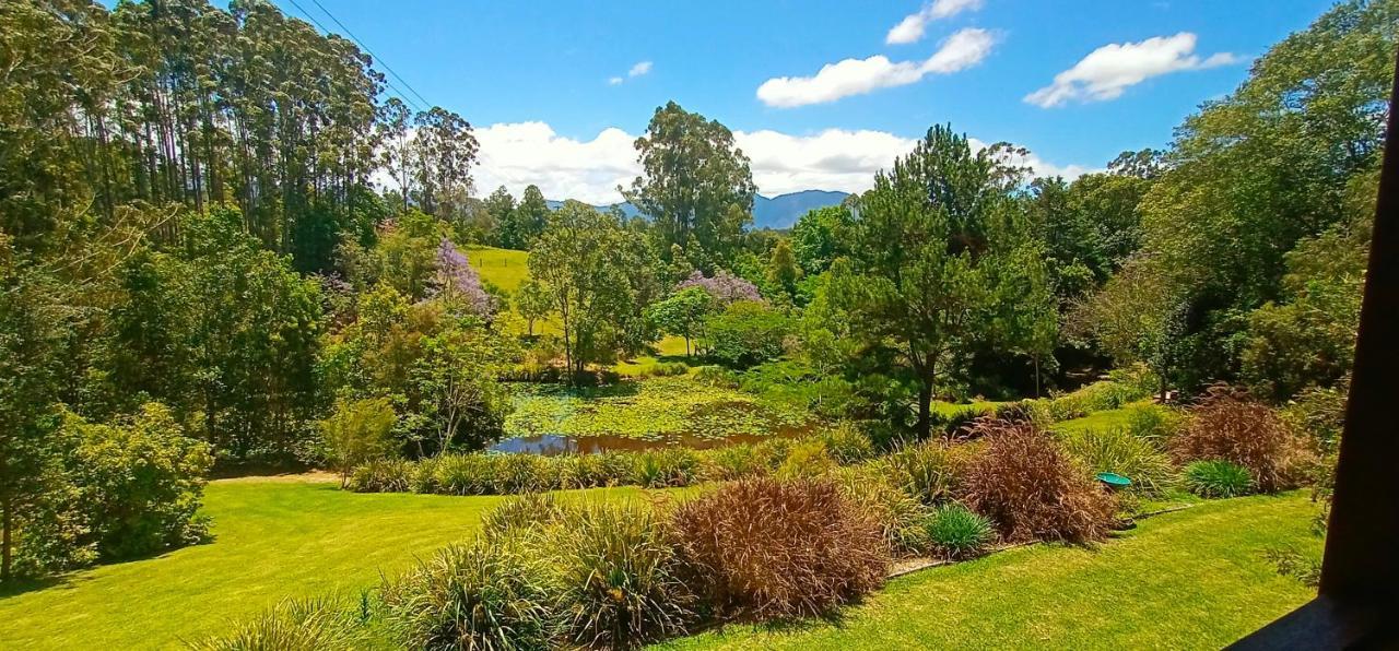 Lilypad Luxury Cabins Bellingen Εξωτερικό φωτογραφία