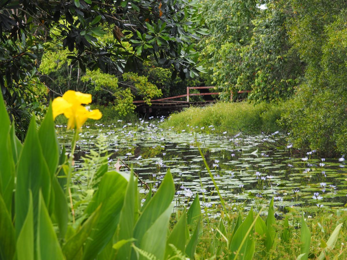 Lilypad Luxury Cabins Bellingen Εξωτερικό φωτογραφία